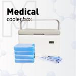 High-Performance Cooling White Color Cooler Box with Ice Packs 5L/8L for sale