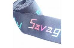 China Colorful Logo Nylon 5cm Printed Elastic Band supplier