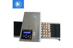 China Automatic Egg High Resolution Inkjet Printer With ABC Standard Printing Font supplier