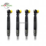 Injector A6510704987 EMBR00002D A6510700587 28342997 For DELPHI C-E-SPRINTER OM651