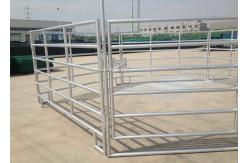China Pre Galvanized Tube Welded 1.8m Height Cattel Panel With 50x50mm Square Pipe supplier
