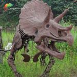 Road Decoration Dinosaur Triceratops Skeleton for sale