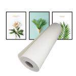 420gsm Matte Polycotton Canvas Large Format Printing