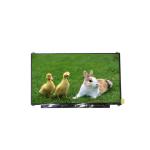 B140RTN03.0 14.0 inch 1600*900  TFT-LCD SCREEN PANEL for sale