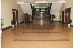 China Aluminum Extrusion Profile manufacturer