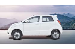 China 4 Wheel Drive Electric Car EV Hatchback Electric Passenger Car Range 200KM supplier