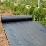 Black Ground Cover Fabric For Garden Bed Cover And Orchard