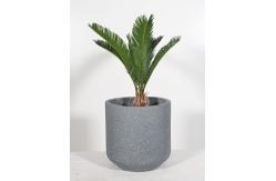 China Wholesale Real Plant Display With Fiber Clay Planters Decoration supplier
