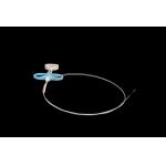 OEM ODM Disposable Cytology Brush For Cell Tissue Sampling CE Certificate