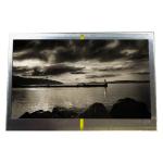 4.3 Inch 480×272 RGB Interface TFT LCD Display Screen TCG043WQLBAANN-GN50 for sale