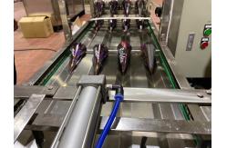 China 6000 Cones/H Tart Shell Production Line Oblaten Wafer Machine supplier