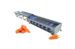 China 3t/H Electric Carrot Grading Machine Tomato Carrot Sorting Machine supplier