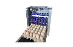 China High-Speed Mobile Jet Coding Machine , Industrial Inkjet Coding Printer With Synchronizer supplier