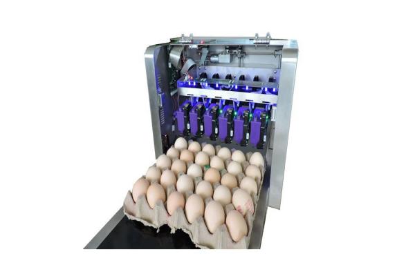 High-Speed Mobile Jet Coding Machine , Industrial Inkjet Coding Printer With Synchronizer