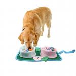 Portable Pet Slow Food Anti-Choking Dog Bowl Folding Polar Fleece Double Food Licking Plate Food Pad for sale