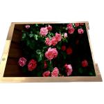 12.1 inch 82ppi lcd screen LTM12C289  800(RGB)×600 TFT LCD Panel Display for sale