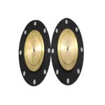 Electrical Insulation Mini PTFE Diaphragm For Metering Pump diaphragm dosing pump