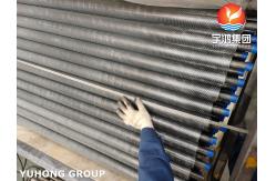 China ASME SA179 Extruded Fin Tube With Al1100 Fin Strip For Air Cooler supplier