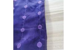 China 30dx30d 39gsm Polyester Spandex Chiffon Fabric Embroidery Crinkle Chiffon Polyester supplier