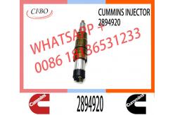 China Diesel Fuel Injector 2872405 5579417 2894920 5579415 For Cummins supplier
