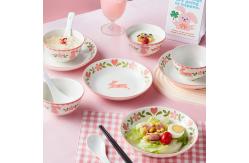 China Custom Ceramic Dinnerware Microwave Dishwasher Safe Compliant With FDA Requirements supplier