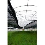 Agricultural Sun Shade Net 1m - 15m Width HDPE Fabric Shade for sale