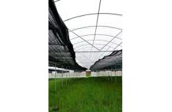 China Agricultural Sun Shade Net 1m - 15m Width HDPE Fabric Shade supplier