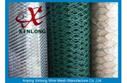 China Hexagonal Wire Mesh 16 Gauge Galvanized Wire Mesh / Chicken Mesh Wire Fencing supplier