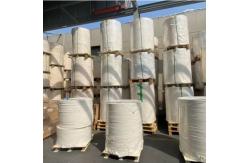 China High Bulk Normal Bulk Paper Cup Bottom Roll with PE PLA Coating supplier