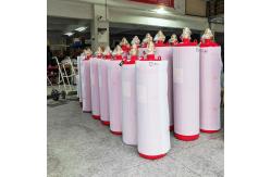 China Clean Agent FM200 Cylinder Fire Extinguishing System Filling Hfc-227ea Gas supplier