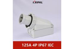 China Single Phase 63A 125A IP67 Industrial Electric Wall Mounted Plug supplier