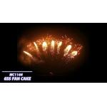 Mandarin Fireworks Pyrotechnics 65 Shots Fan Shaped Fireworks for sale