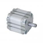 Industrial Pneumatic Cylinder ADVU-40-40-A-P-A 156632 for sale
