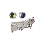 500KG/Hour Grape Drying Machine Washing Process Machines For Raisin for sale