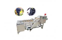 China 500KG/Hour Grape Drying Machine Washing Process Machines For Raisin supplier