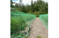 China Sturdy UV Resistant Bird Netting 40M Fruit Tree Bird Netting Customized supplier