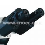 Compensation Binocular Phase Contrast Microscope with Kohler 6V 20W Illumination A19.0209