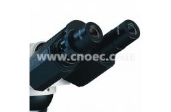 China Compensation Binocular Phase Contrast Microscope with Kohler 6V 20W Illumination A19.0209 supplier