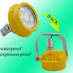 IP67 Waterproof Industrial Gas Station 20W LED Canopy Light WF2 With Vacuum Plating Reflector for sale