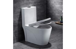 China 300mm 400mm Roughing In Siphonic One Piece Toilet Sanitary Ware WC supplier