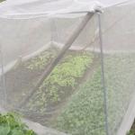 10x50m Plastic Insect Mesh Cover For Plant And Fruit Tree Net Cover