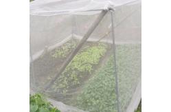 China 10x50m Plastic Insect Mesh Cover For Plant And Fruit Tree Net Cover supplier