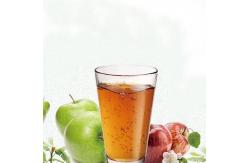 China Industrial Apple Processing Line Fruit Juice Making Machine 1000ml supplier