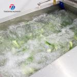 Bubble washing vibration air drying production line Orange Vegetable Herbs Fruit processing production Machine