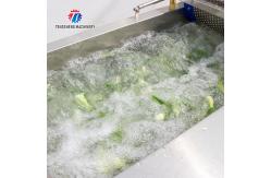 China X Fruit And Vegetable Processing Line 2025 With Advanced Technology supplier