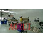 Auotmatic PET Plastic Sheet Two Screw Extruder for Stationary / Medicine for sale