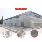 China Economical Custom Design Automatic Shading System Multi-span Strawberry Greenhouses for Vegetable Fruit for sale
