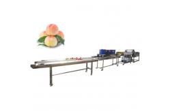 China Hot selling Manual Food Cleaner Vegetable Washer With Best Prices by Huafood supplier