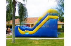 China Commercial Double Side Inflatable Bouncer Slide Double Stitching supplier