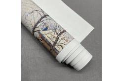 China Waterproof 260gsm Eco Solvent Inkjet Glossy Polyester Canvas Roll For Roland supplier